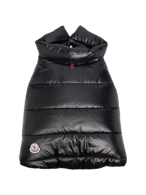 Moncler padded button-up pet jacket