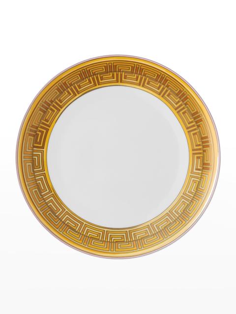 VERSACE Medusa Amplified Pink Coin Dinner Plate