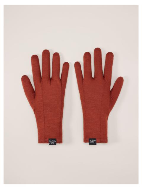 Arc'teryx Gothic Glove