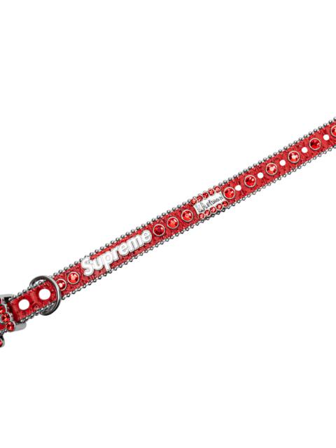 Supreme B.B. Simon Studded Dog Collar