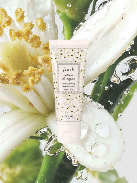 fresh citron de vigne moisturizing hand cream
