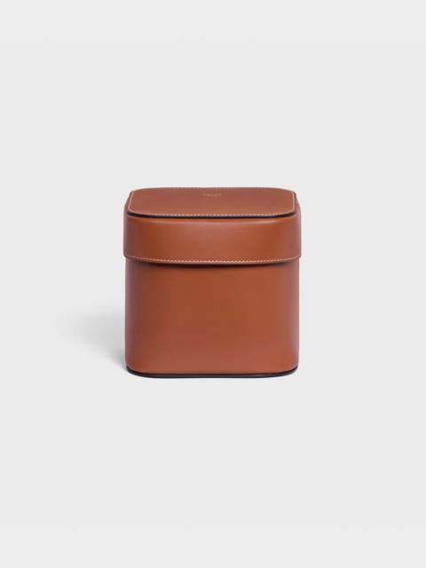CELINE Medium Box in Shiny Calfskin