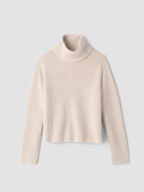 EILEEN FISHER Italian Merino Turtleneck Top in Regenerative Wool