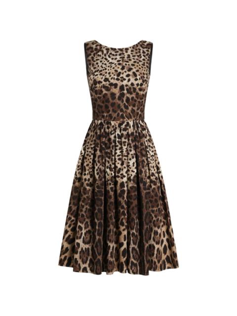 Dolce & Gabbana leo-print cotton poplin dress