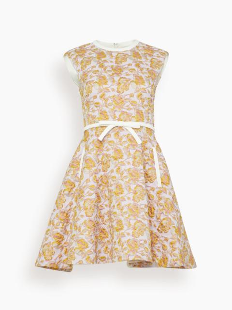 GIAMBATTISTA VALLI Dress in Rose/Multi