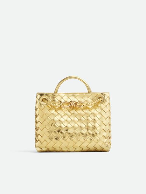 Bottega Veneta Small Andiamo