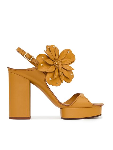 Zimmermann BRIGHTSIDE PLATFORM 105