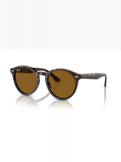 Ray-Ban LARRY