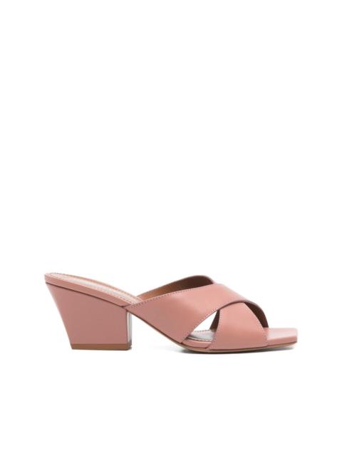 PARIS TEXAS Arizona criss-cross mules