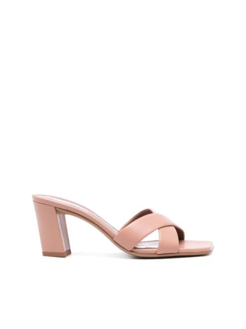 Dafne 70mm mules