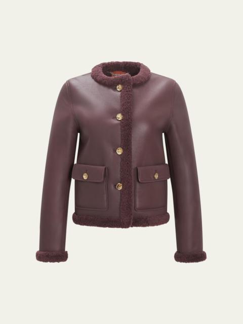Altuzarra Zed Leather Shearling Coat