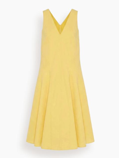 Another Tomorrow Full Skirt Dress in Sun