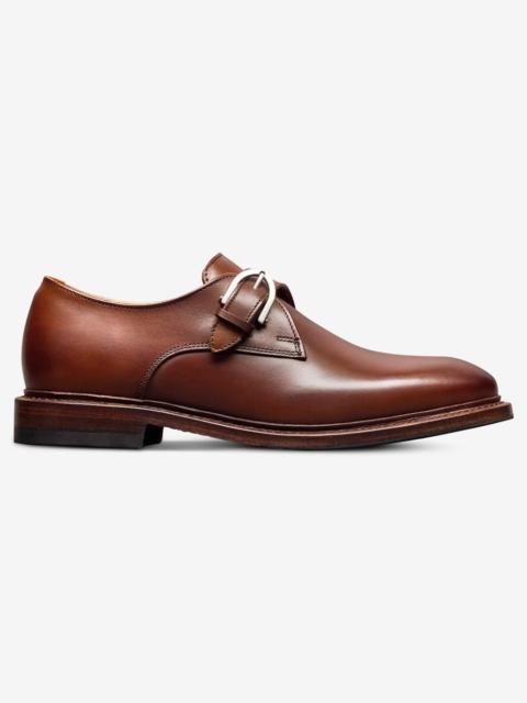 ALLEN EDMONDS Ryder Single Monk Strap Dress Shoe