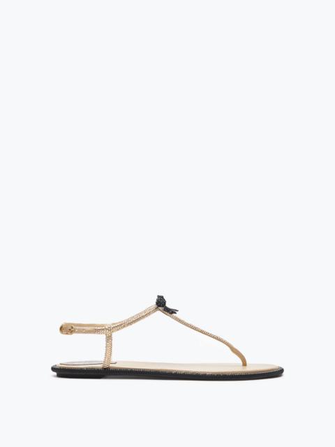 RENE CAOVILLA Caterina Honey Thong Sandal 10