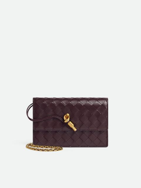 Bottega Veneta Andiamo Pouch on Chain