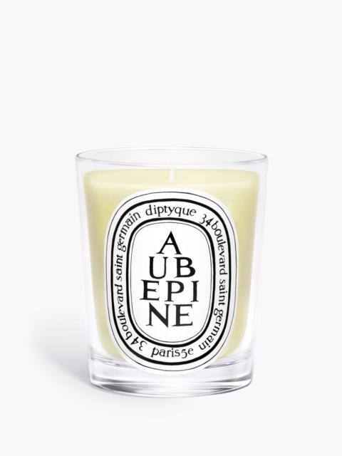 Diptyque Aubépine (Hawthorn) - Classic Candle