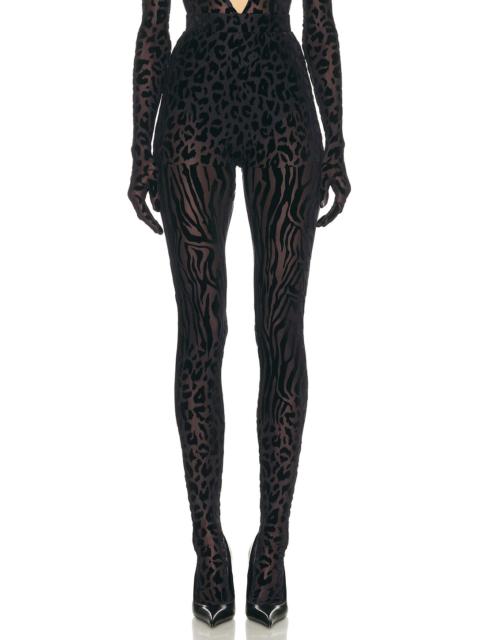 ALEX PERRY Animal Print Burnout Stocking