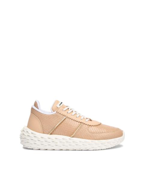 Urchin leather sneakers