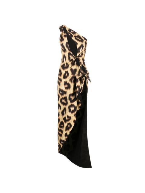 leopard-print maxi dress