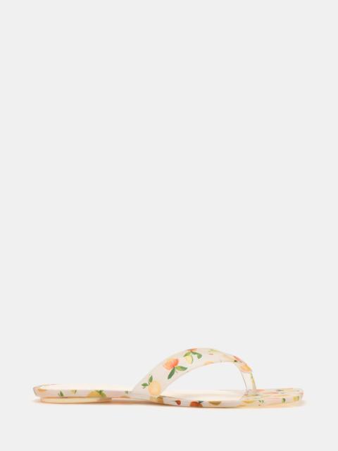 STEVE MADDEN TRELLA JELLY CITRUS