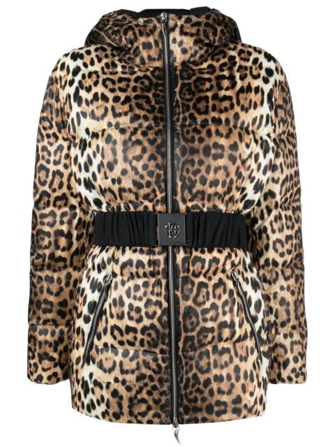 Roberto Cavalli leopard-print padded jacket