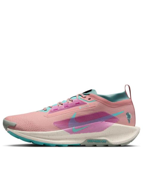 Nike Nike Pegasus Trail 5 Gore-Tex 'Red Stardust Bicoastal' FQ0908-600