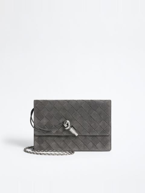 Bottega Veneta Andiamo Pouch on Strap