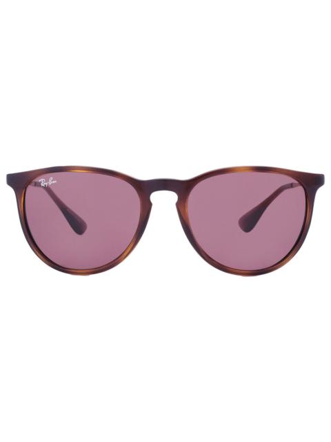 Ray-Ban RayBan Erika Copper Dark Violet Classic Round Sunglasses RB417163917554