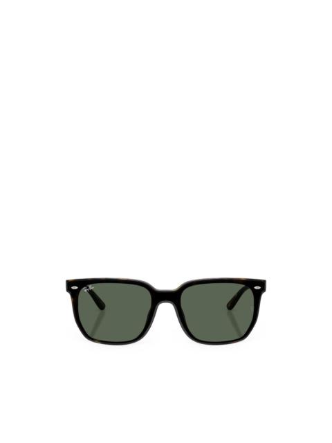 Ray-Ban RB4466D sunglasses