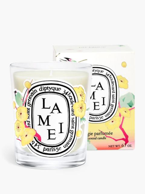 Diptyque Lamei (Wintersweet) - Classic Candle