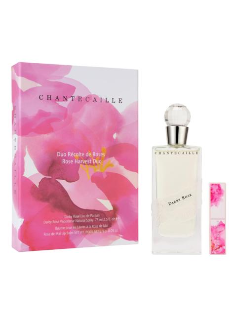 Chantecaille Women's Rose Harvest Duo