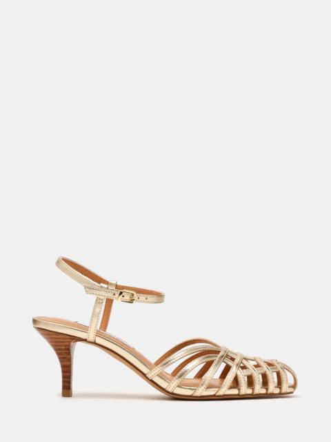 STEVE MADDEN EDIN CHAMPAGNE