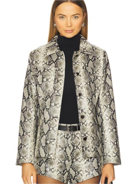 Line & Dot Python Jacket