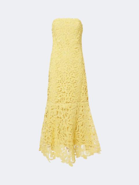 SIMKHAI Sera lace bustier dress
