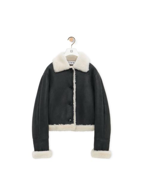 Loewe Jacket in shearling