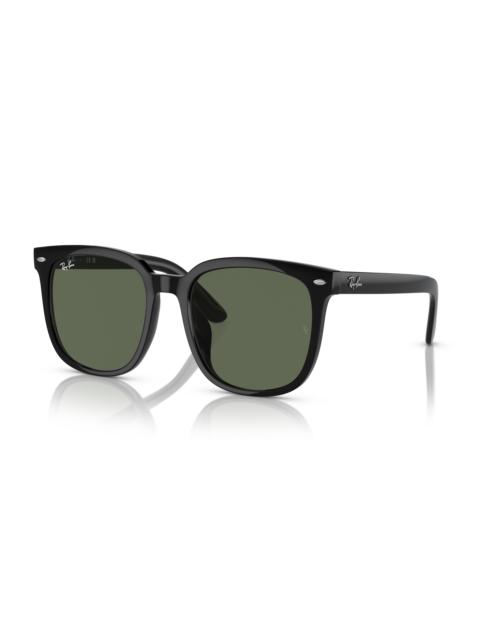 Ray-Ban RB4401D