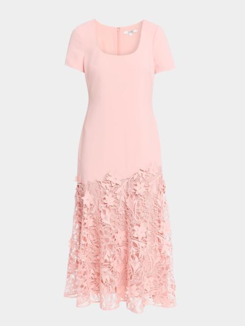 BADGLEY MISCHKA Drop-Waist Crepe & Lace Midi Dress