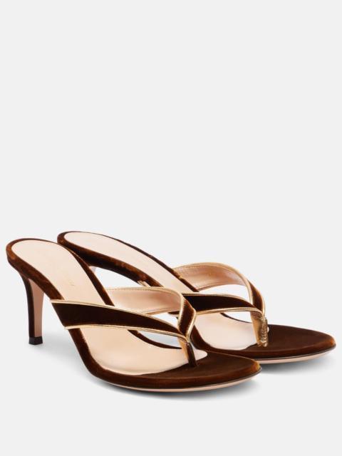 Gianvito Rossi 70 leather-trimmed velvet mules
