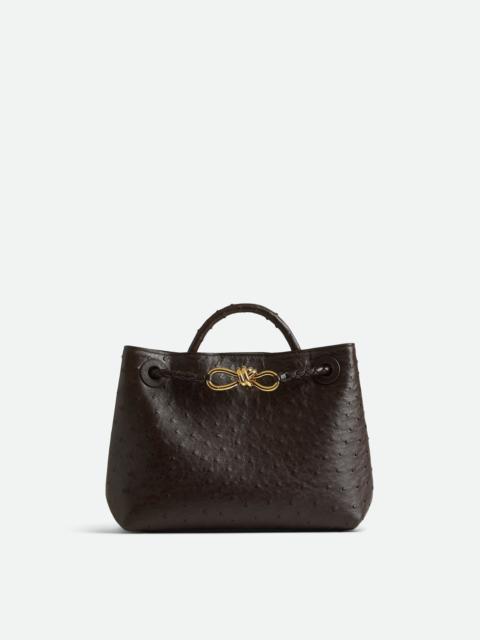 Bottega Veneta Small Andiamo