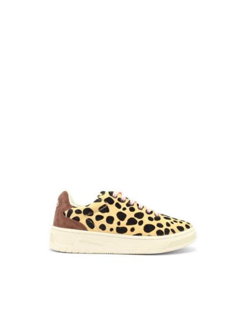 SCOTCH & SODA leopard-print low-top sneakers
