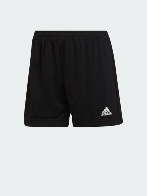 adidas Entrada 22 Shorts