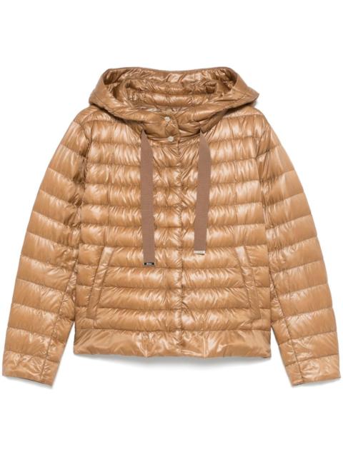 Herno hooded puffer jacket