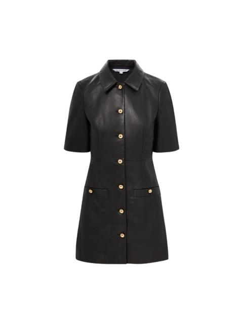 VERONICA BEARD PAIGE DRESS