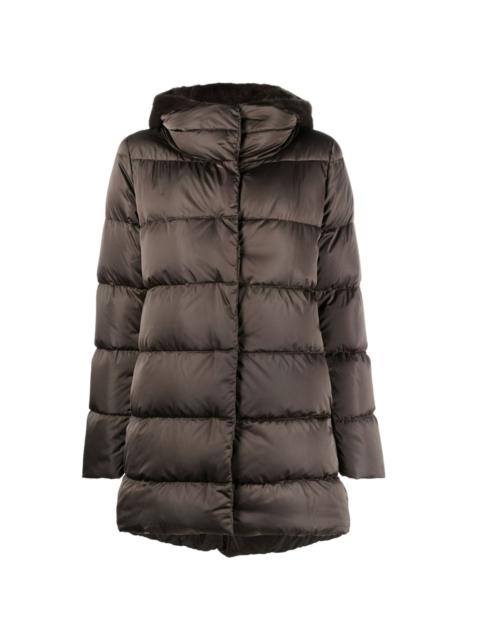 padded down jacket