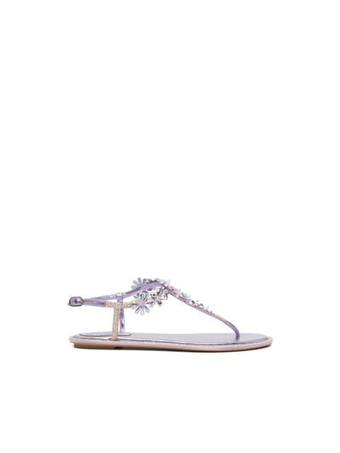 RENE CAOVILLA Diana sandals