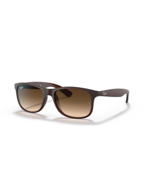 Ray-Ban 이름 *
