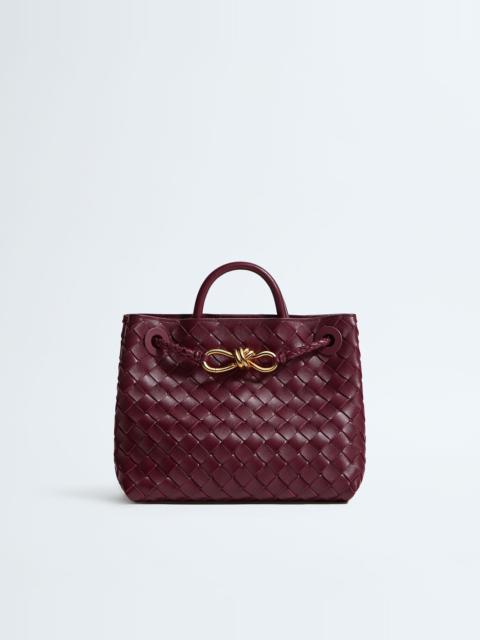 Bottega Veneta Small Andiamo
