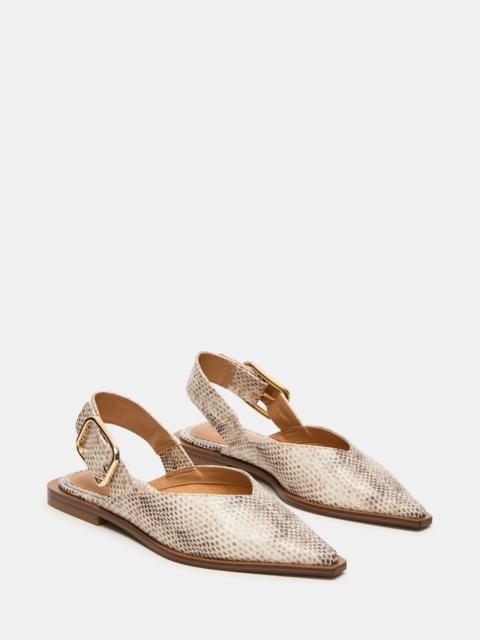 STEVE MADDEN SHAY SNAKE