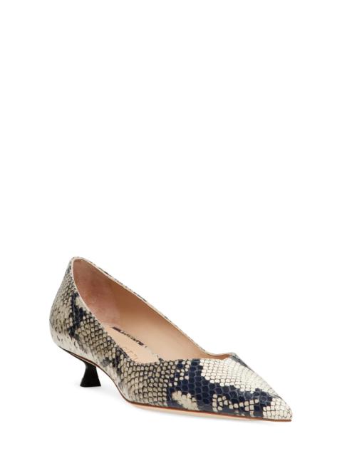 Stuart Weitzman Eva Kitten Heel Pointed Toe Pump