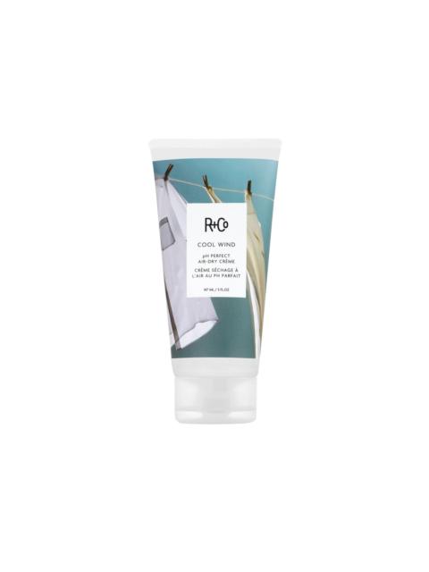 R+Co Cool Wind PH Perfect Air Dry Crème